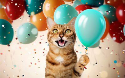 Happy Birthday to us!