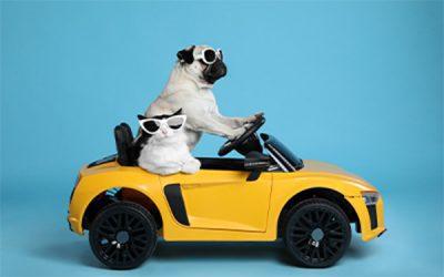 Do you need new wheels?