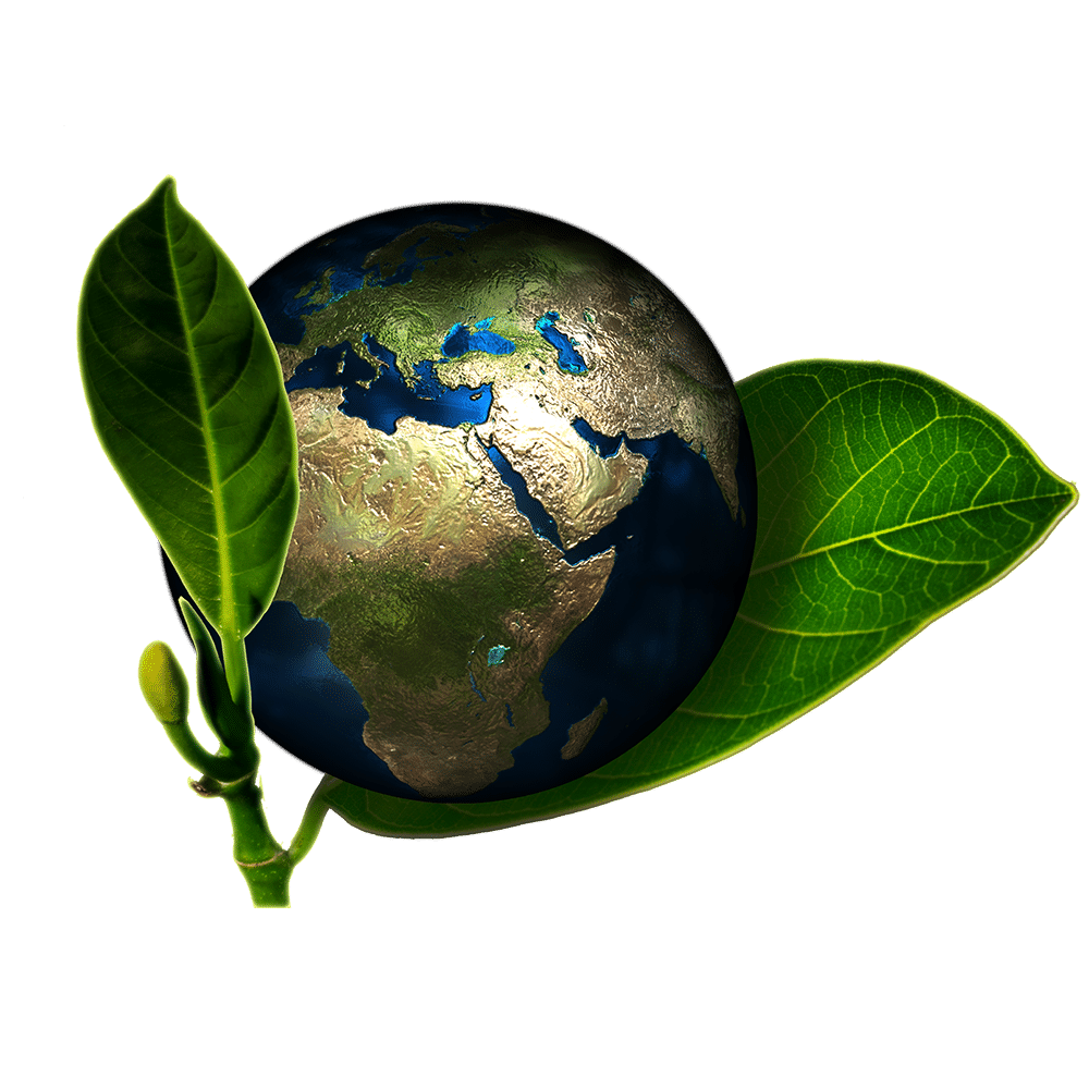 eco-loans